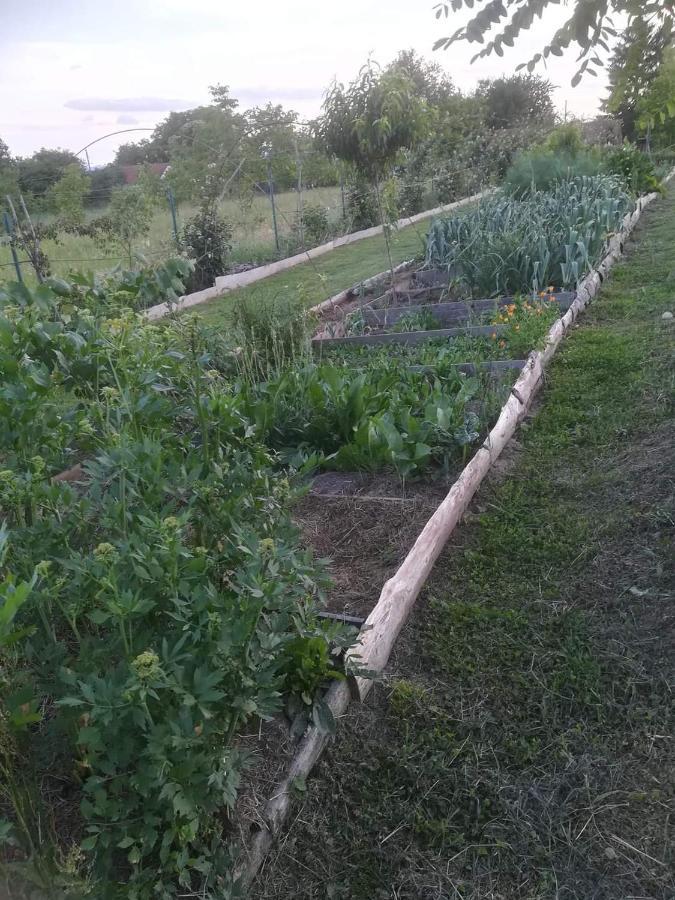 Ruralna Kuca Za Odmor Pozojova Hiza - Rural Holiday House Lapáthegy Kültér fotó