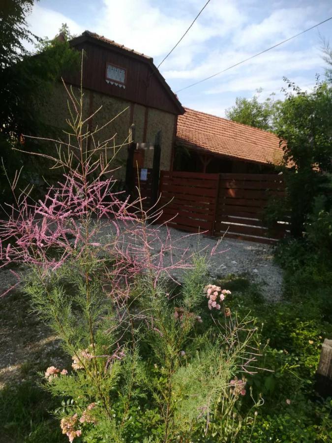 Ruralna Kuca Za Odmor Pozojova Hiza - Rural Holiday House Lapáthegy Kültér fotó