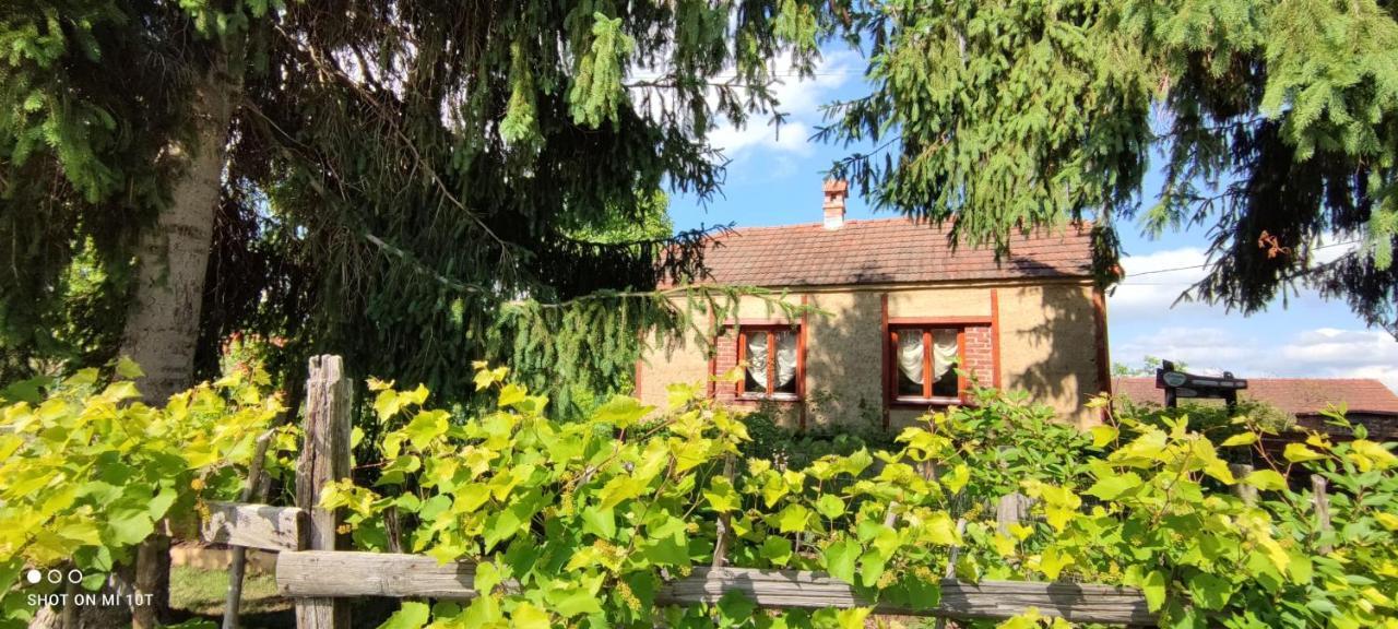 Ruralna Kuca Za Odmor Pozojova Hiza - Rural Holiday House Lapáthegy Kültér fotó