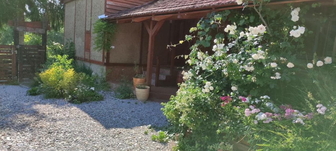 Ruralna Kuca Za Odmor Pozojova Hiza - Rural Holiday House Lapáthegy Kültér fotó