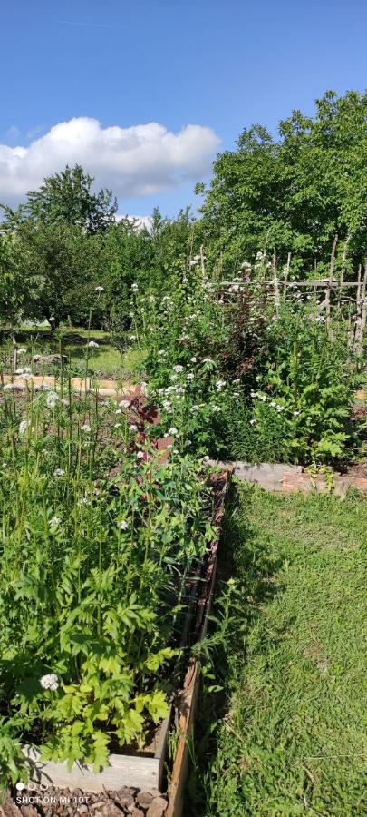Ruralna Kuca Za Odmor Pozojova Hiza - Rural Holiday House Lapáthegy Kültér fotó