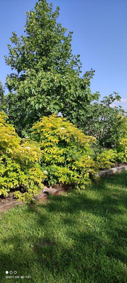 Ruralna Kuca Za Odmor Pozojova Hiza - Rural Holiday House Lapáthegy Kültér fotó