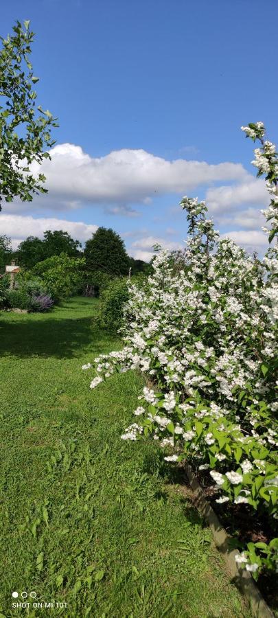 Ruralna Kuca Za Odmor Pozojova Hiza - Rural Holiday House Lapáthegy Kültér fotó